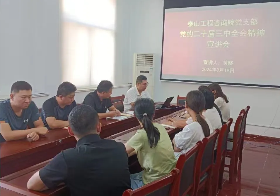 咨詢?cè)狐h支部開(kāi)展黨的二十屆三中全會(huì)精神宣講活動(dòng)